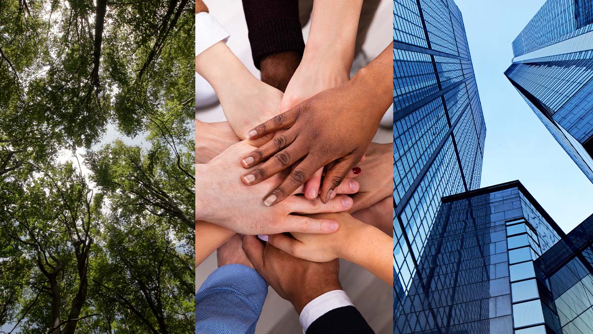 Collage of trees in a forest, hands in a huddle, corporate high-rise buildings