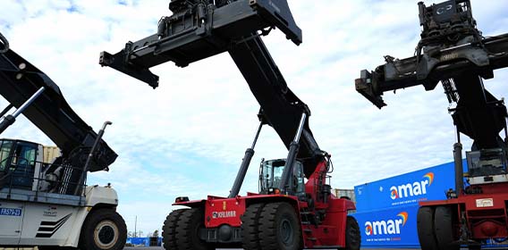 Amar Group Reach Stacker Crane photo