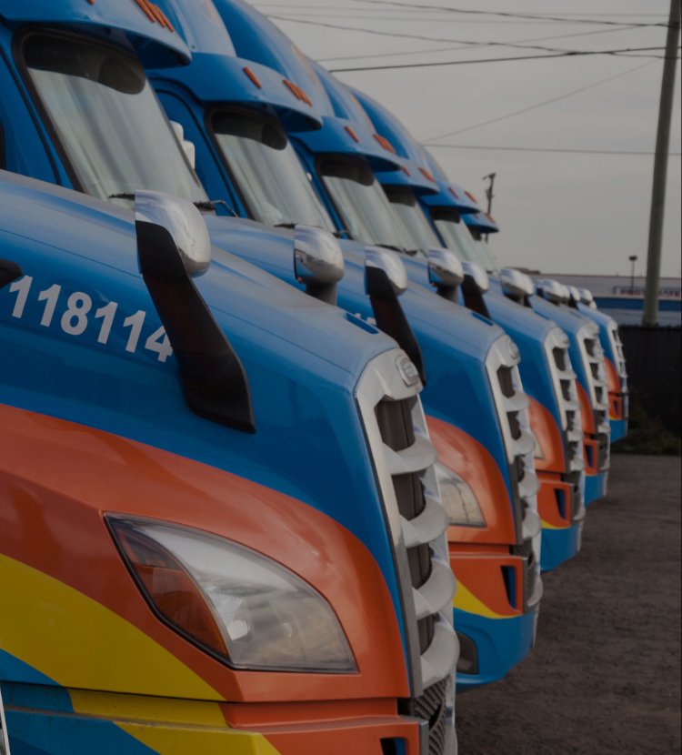 Close-up view of Amar Freightliner trucking cabs